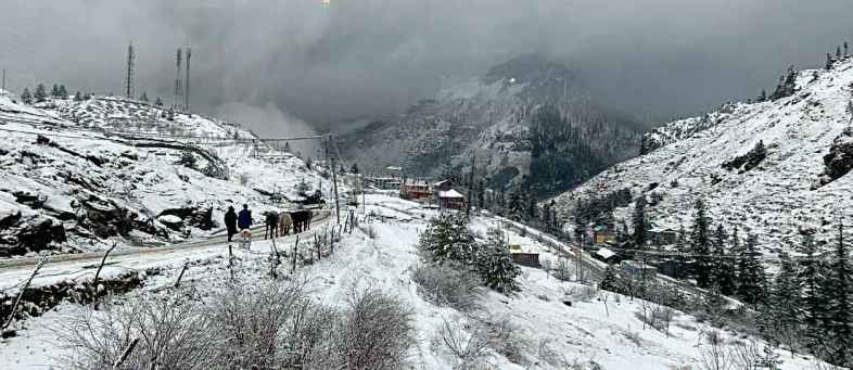 832738-3snow.jpg 832738-3snow.jpg