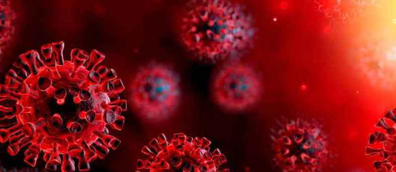 COVID-19 UK variant in every US state as experts warn 'virus is not done with us'.jpeg COVID-19 UK variant in every US state as experts warn 'virus is not done with us'.jpeg