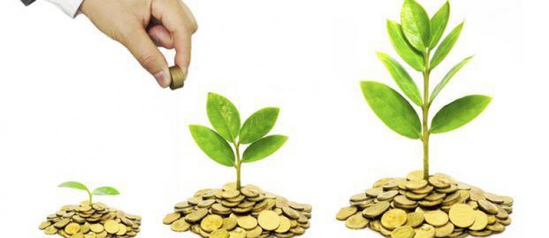 mfplant-k5yE--621x414@LiveMint.jpg mfplant-k5yE--621x414@LiveMint.jpg