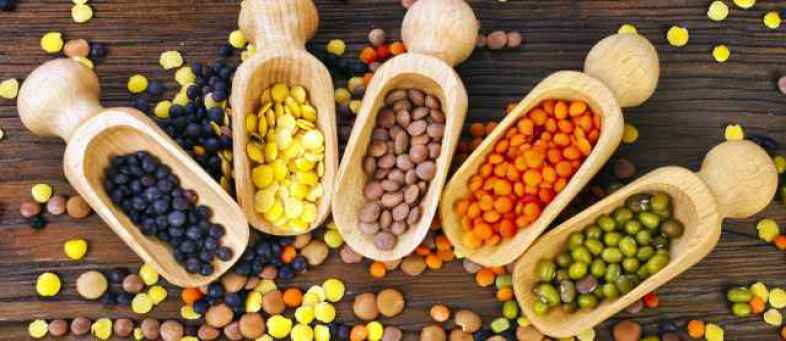 India’s pulses import may down by 60% in FY21 IPGA.jpg India’s pulses import may down by 60% in FY21 IPGA.jpg