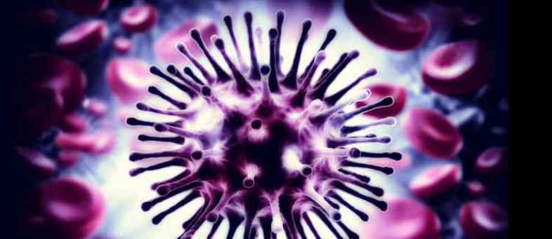 New influenza virus G4 can trigger pandemic, needs close monitoring Chinese scientists.jpg New influenza virus G4 can trigger pandemic, needs close monitoring Chinese scientists.jpg