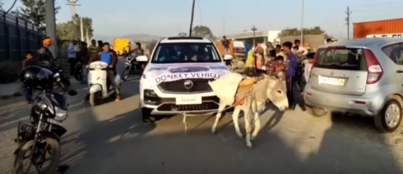 Angry customer makes donkey pull MG Hector, carmaker initiates action.jpg Angry customer makes donkey pull MG Hector, carmaker initiates action.jpg