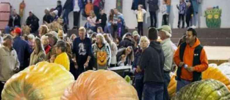 Giant Pumpkin Competition Port Elgin Pumpkin Fest Bruce County Canada.jpg Giant Pumpkin Competition Port Elgin Pumpkin Fest Bruce County Canada.jpg