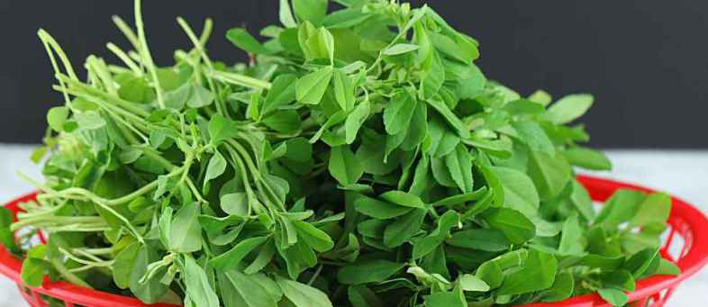 methi-leaves.jpg methi-leaves.jpg