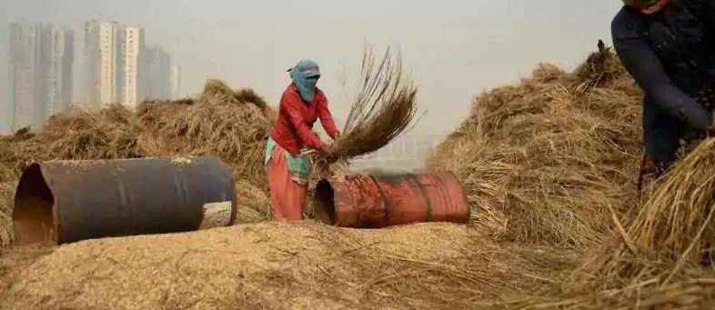 Unemployment Rate Rises To 8.35% In August Amid Slow Economic Recovery, Say CMIE (1).jpg Unemployment Rate Rises To 8.35% In August Amid Slow Economic Recovery, Say CMIE (1).jpg