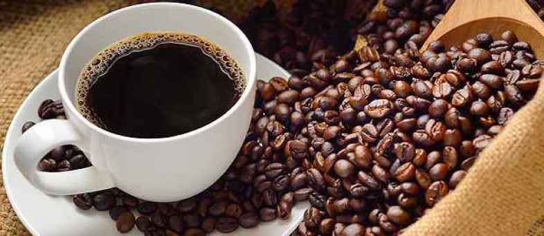 India’s Coffee exports plunge 17% yoy from January 1.jpg India’s Coffee exports plunge 17% yoy from January 1.jpg