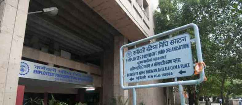 New Year's gift to 6 crore PF members, govt did this necessary work.jpg New Year's gift to 6 crore PF members, govt did this necessary work.jpg
