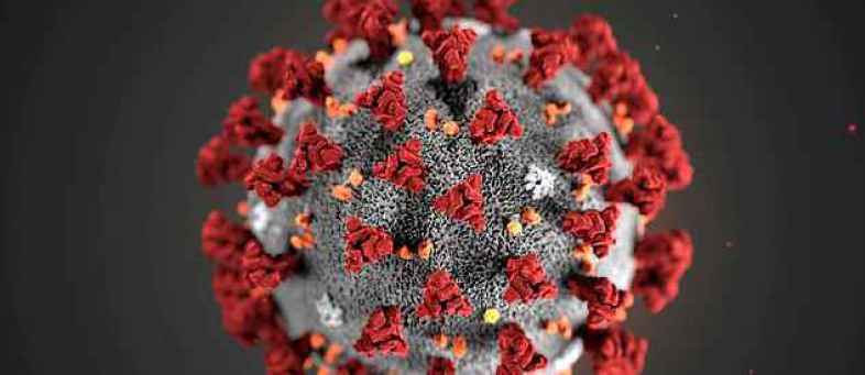 Real face of corona virus, researchers released 1st picture.jpg Real face of corona virus, researchers released 1st picture.jpg