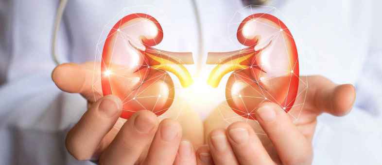 kedney health.jpg kedney health.jpg