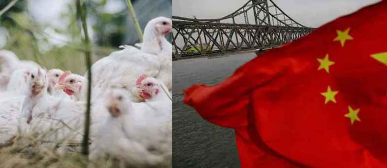 China Says Frozen Chicken Wings From Brazil Test Positive For Coronavirus.jpg China Says Frozen Chicken Wings From Brazil Test Positive For Coronavirus.jpg