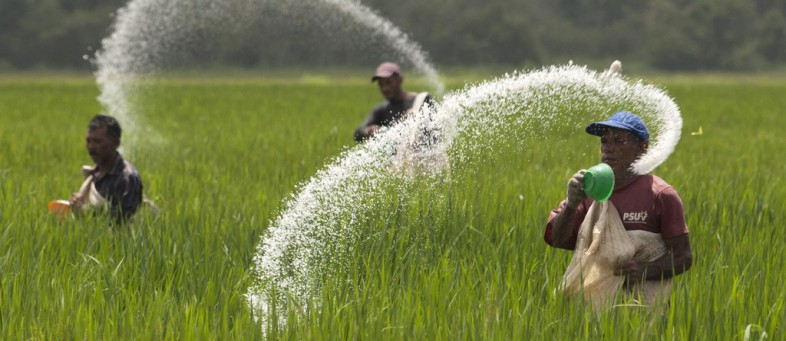 urea fertilizr.jpg urea fertilizr.jpg