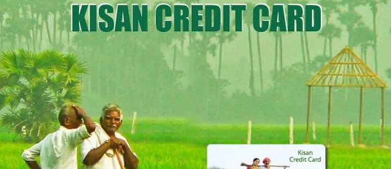 Farmers get thousands of insurance with Kisan Credit Card loan, find out how to get benefit.jpg Farmers get thousands of insurance with Kisan Credit Card loan, find out how to get benefit.jpg