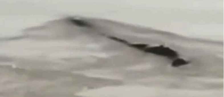 Video - Mysterious Monster Spotted River in China, Turns Out To Be....jpg Video - Mysterious Monster Spotted River in China, Turns Out To Be....jpg