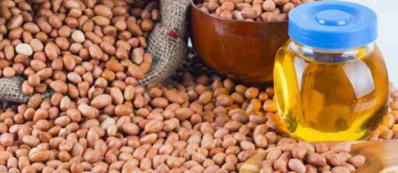 Govt looking to curb groundnut exports to cool spot prices.jpg Govt looking to curb groundnut exports to cool spot prices.jpg