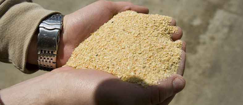 India July Soymeal Exports fall 59% hits Three Year Low.jpg India July Soymeal Exports fall 59% hits Three Year Low.jpg