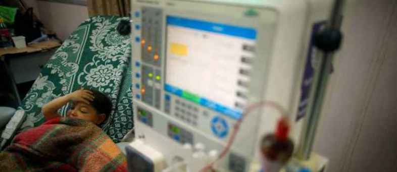 ICUs become battleground for C. auris, a drug-resistant fungus.jpg ICUs become battleground for C. auris, a drug-resistant fungus.jpg