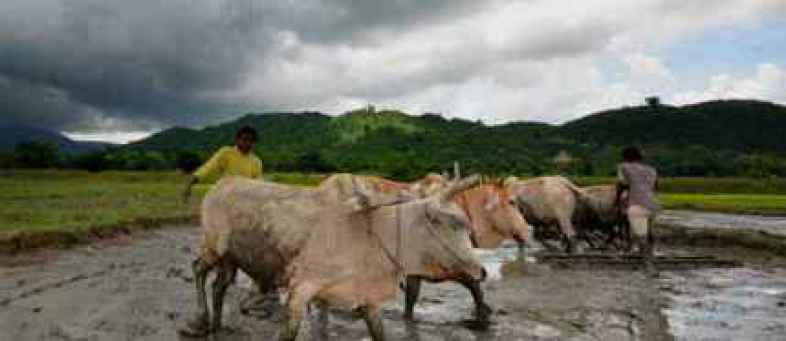 Rain in Saurashtra area, flood in rivers.jpg Rain in Saurashtra area, flood in rivers.jpg