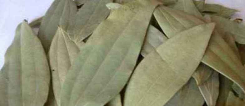 tamalptra.jpg tamalptra.jpg