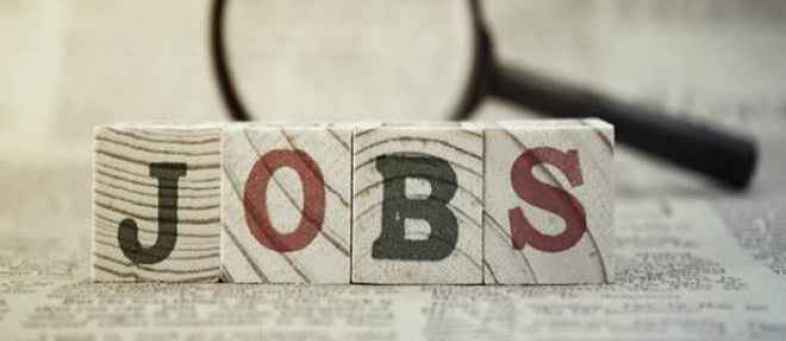 Career, COVID 19 Pandemic, Jobs, Monster Employment Survey,.jpg Career, COVID 19 Pandemic, Jobs, Monster Employment Survey,.jpg