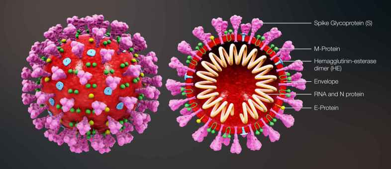 Covid-19 Crisis Ahmedabad Hit By 20 Coronavirus Variants GBRC Survey.jpg Covid-19 Crisis Ahmedabad Hit By 20 Coronavirus Variants GBRC Survey.jpg