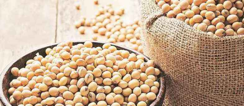 Soybean futures.jpg Soybean futures.jpg