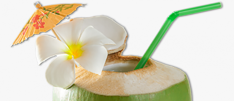 Coconut is beneficial in period of corona, will boost immune system.png Coconut is beneficial in period of corona, will boost immune system.png
