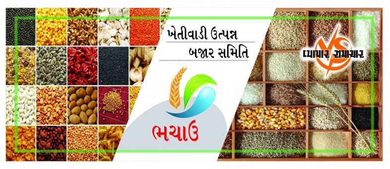 Bhachau APMC.jpg Bhachau APMC.jpg