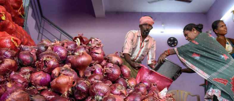 No good news in the case of onions, is that prices will rise further.jpg No good news in the case of onions, is that prices will rise further.jpg