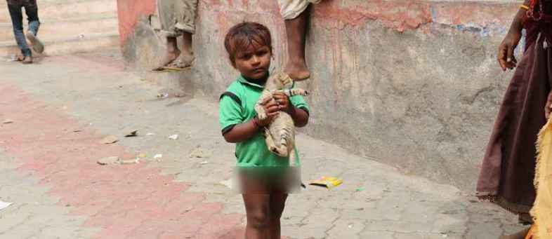 A 3-year-old maternal maid took the kittens due to hurricanes.jpeg A 3-year-old maternal maid took the kittens due to hurricanes.jpeg