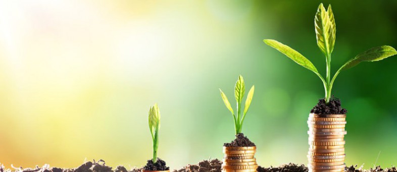 ARborCrowd-IRR-825x510.jpg ARborCrowd-IRR-825x510.jpg