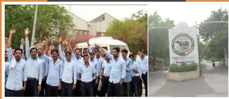dudhsagar.jpg dudhsagar.jpg