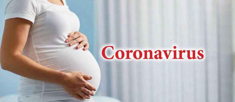 Ahmedabad Only A Quarter Of 172 Covid Moms Newborns Test Corona Positive.jpg Ahmedabad Only A Quarter Of 172 Covid Moms Newborns Test Corona Positive.jpg