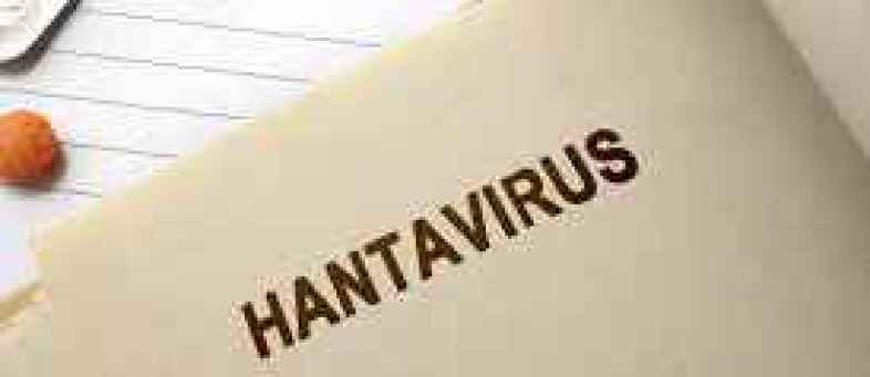 Frist death by hantavirus in China All you need to know about the virus.jpg Frist death by hantavirus in China All you need to know about the virus.jpg