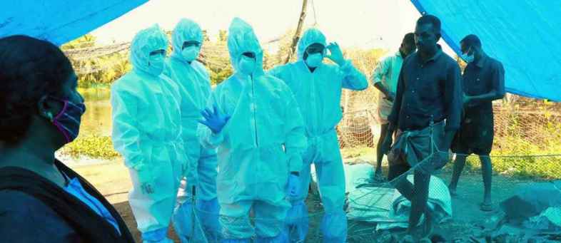 Bird flu affected 11 states, killing more than 1,000 birds a day.jpg Bird flu affected 11 states, killing more than 1,000 birds a day.jpg