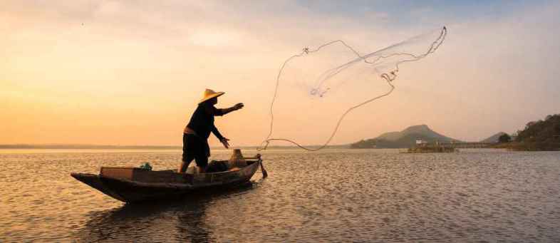 New-app-helps-fisherman-seek-and-sell-their-catch-.jpg New-app-helps-fisherman-seek-and-sell-their-catch-.jpg