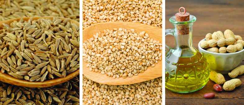 Coronavirus outbreak to hit cumin, sesame, groundnut oil exports to china.jpg Coronavirus outbreak to hit cumin, sesame, groundnut oil exports to china.jpg