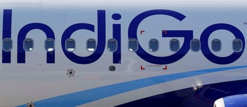 Indigo.jpg Indigo.jpg