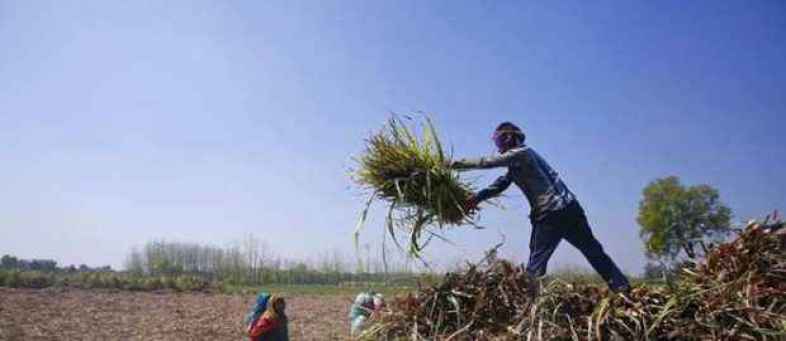 Crop Insurance Scam - Farmers In Preparation For The Digital Agitation.jpg Crop Insurance Scam - Farmers In Preparation For The Digital Agitation.jpg