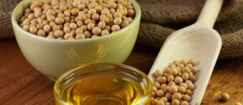 Soybean 191217 Image.jpg Soybean 191217 Image.jpg