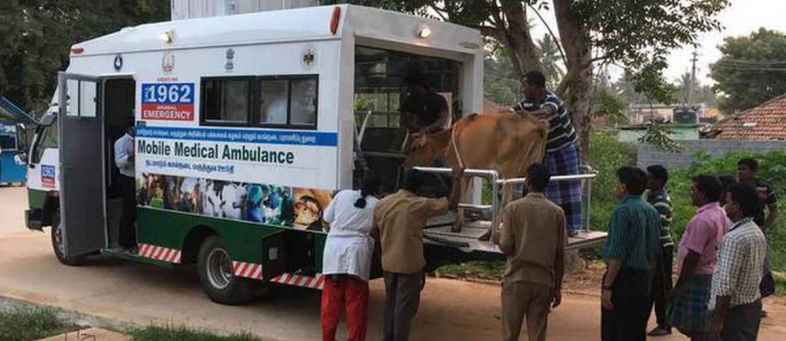 Dial this number if the animal is to be treated for free, the van will come to your home.jpg Dial this number if the animal is to be treated for free, the van will come to your home.jpg