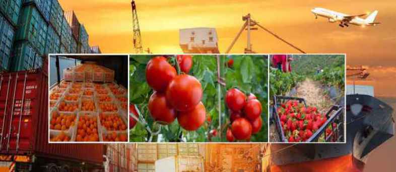 India's Agriculture Exports increase 17.34% to 41.25 billion dollar in year 2020-21.jpg India's Agriculture Exports increase 17.34% to 41.25 billion dollar in year 2020-21.jpg