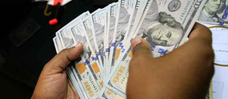 India’s Forex Reserves Surge to All-time High of USD 493.48 Billion.jpg India’s Forex Reserves Surge to All-time High of USD 493.48 Billion.jpg