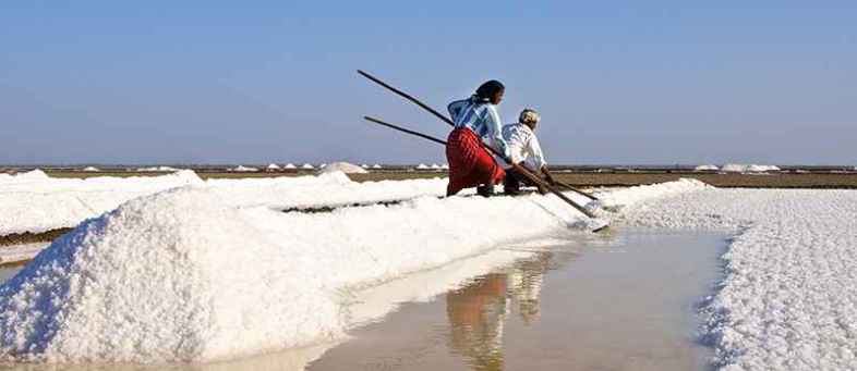 India’s Salt output may be down by 30 percent on delayed harvest season in Gujarat.jpg India’s Salt output may be down by 30 percent on delayed harvest season in Gujarat.jpg
