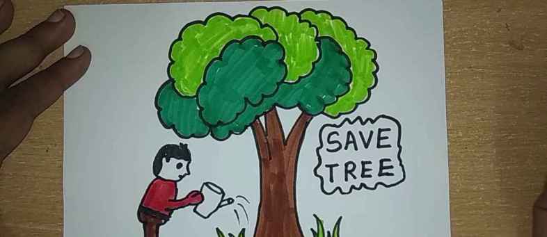Why Is There A Campaign To Save Old Tree In Saudi Arabia.jpg Why Is There A Campaign To Save Old Tree In Saudi Arabia.jpg
