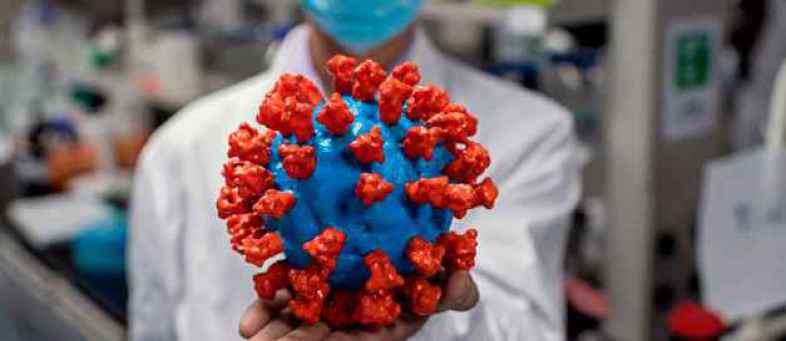 Dragons at the forefront of the race to become a corona virus drug.jpg Dragons at the forefront of the race to become a corona virus drug.jpg