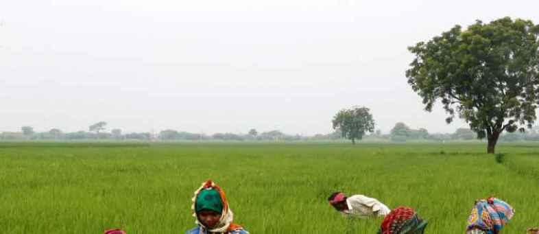 farm-loan-waiver-karnataka-farm-loan-waiver-modi-agricultural-loans-bank-loans-farmers-drought.jpg farm-loan-waiver-karnataka-farm-loan-waiver-modi-agricultural-loans-bank-loans-farmers-drought.jpg