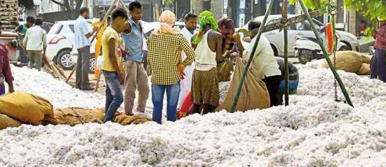 Cotton prices.jpg Cotton prices.jpg