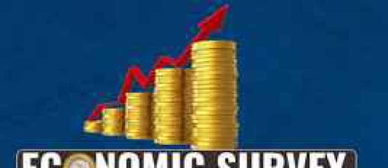 Economic Survery.jpg Economic Survery.jpg