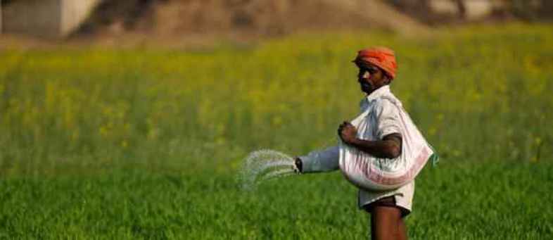 fertilizer-kilF--621x414@LiveMint.jpg fertilizer-kilF--621x414@LiveMint.jpg