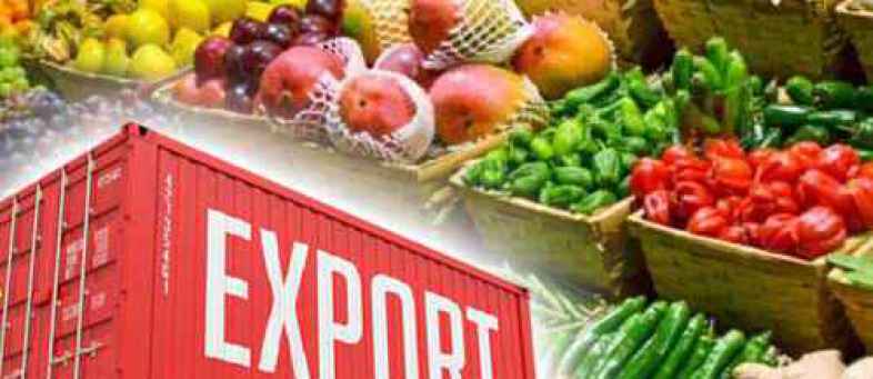 Agri & processed food products exports rose 30% to $9.6 billion in April-July APEDA.jpg
